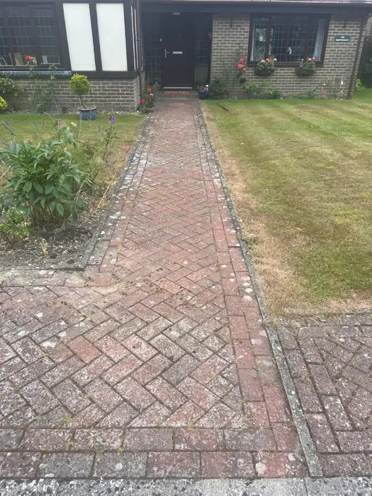 Mossy, lichen-covered brick path before cleaning