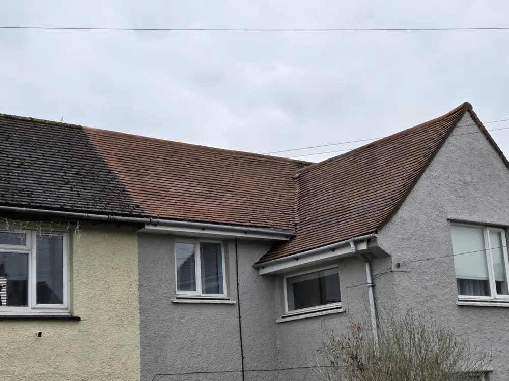 Semi-detached roof showing a moss-free cleaned side next to the neighbouring uncleaned roof still covered in moss
